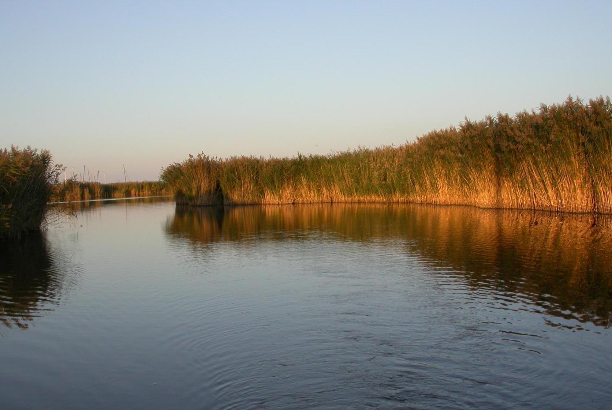 Landhaus Luka Mörbisch am See Exteriér fotografie